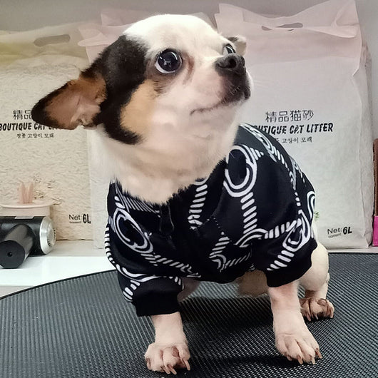 GG Printed Classy Cool Doggo Hot Jacket