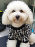 🧶 Big Dog DD Cozy Winter Sweater