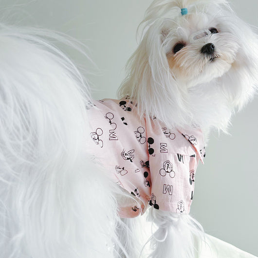 Big Dog Sweet Summer Shirt