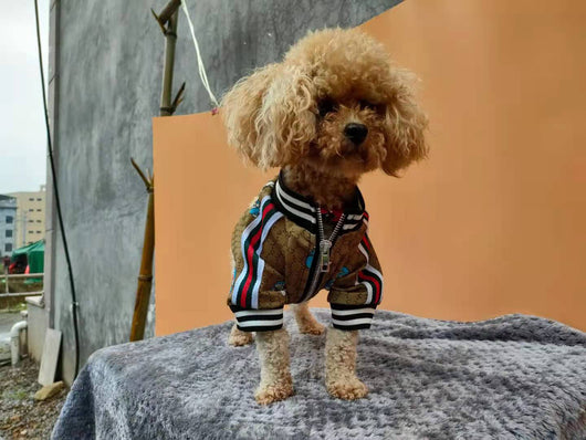 GG Hype Doraemon Juiced Jacket