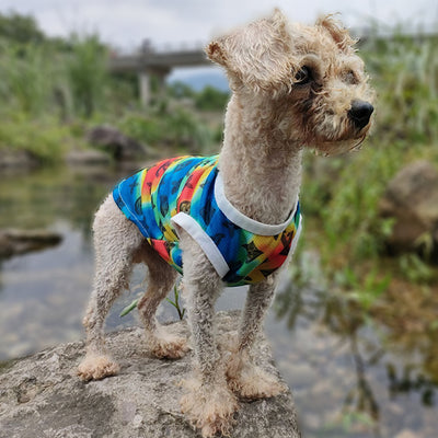 Cozy Canine Dog Juiced Sweater
