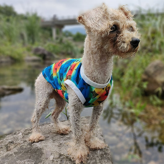 Cozy Canine Dog Juiced Sweater