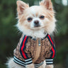 🧥 Dear Doggo Jacket - Premium Quality Dog Accessories