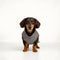 PAWSMOMENT Reversible Micro Plaid Vest