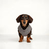 PAWSMOMENT Reversible Micro Plaid Vest