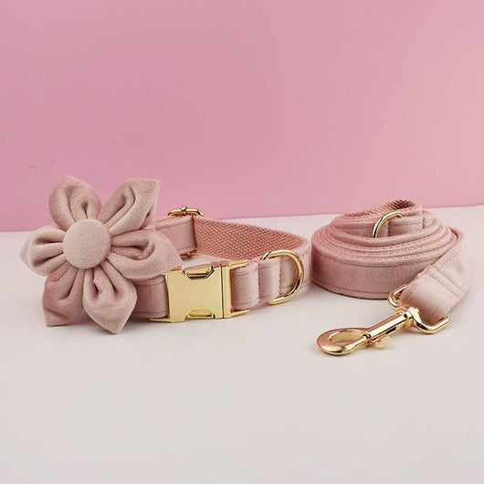 Velvet Luxe Flash Set