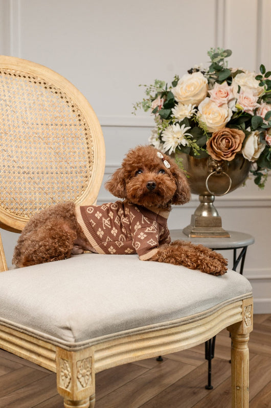 The Luxe Knit Vibrant Sweater