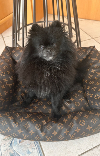 LV Essentials Dog Redux Bed