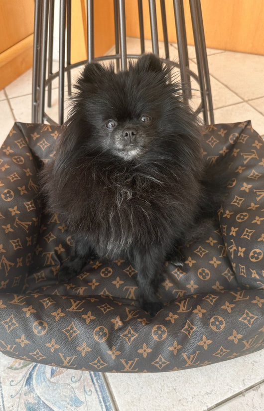 LV Essentials Dog Redux Bed