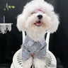 Pet Dog Fresh Clothes