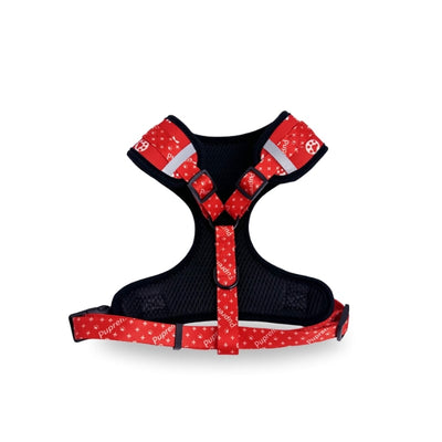 Suma Walking Timeless Set