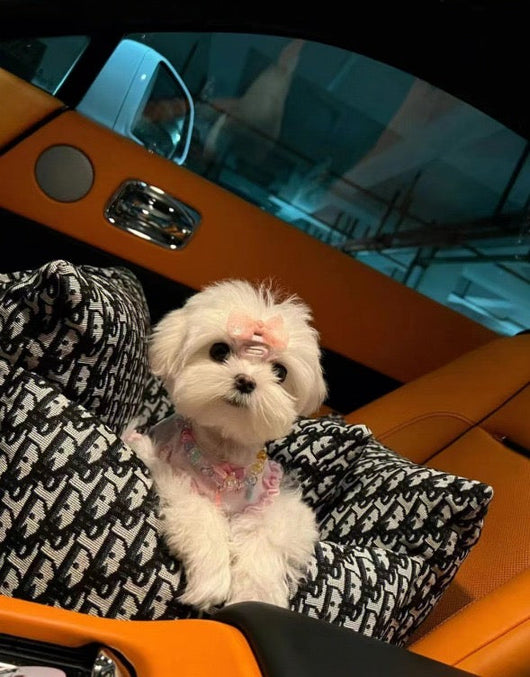 DD  Luxury Dog Car Vintage Seat