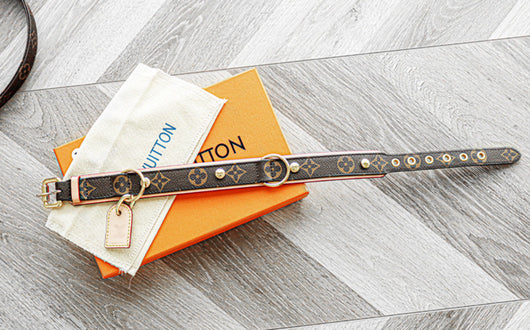 Amelia Dog Collar & Backspin Leash