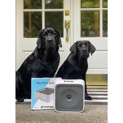 Dear Doggo Anti Splash Safe Dog Sleek Bowl