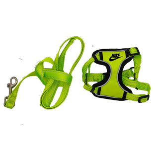 Tailwaggers Dog Harness Icy Collection