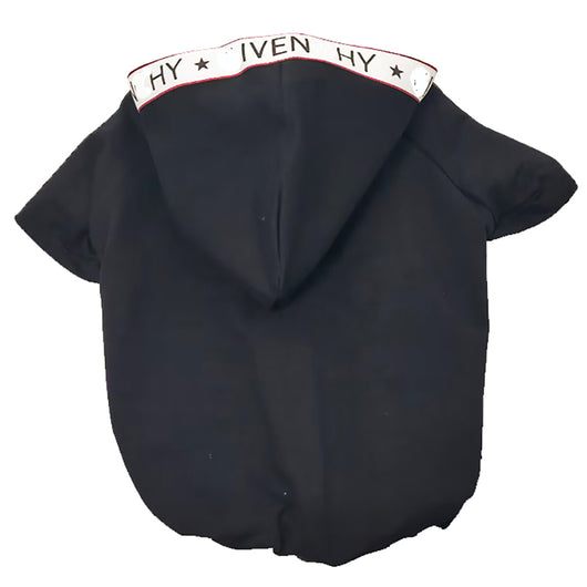 Sweat à capuche classique GIV