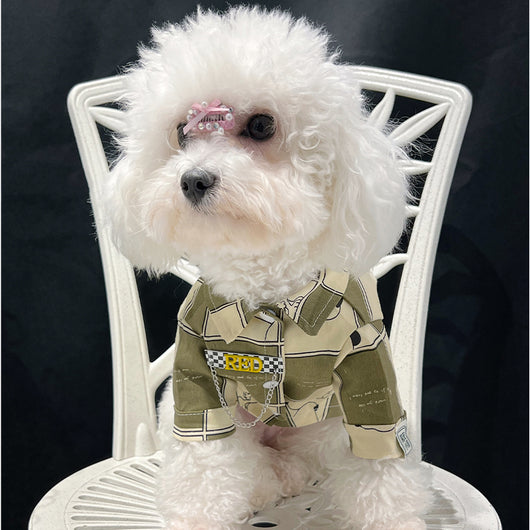 Big Dog Summer Joy Shirt