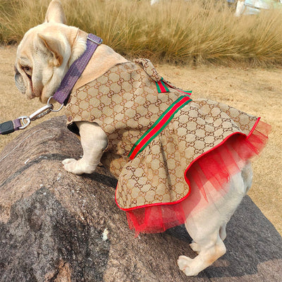 Vestido de verano de lujo GG