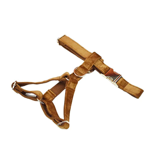 Velvet Brown Luxe Loaded Set