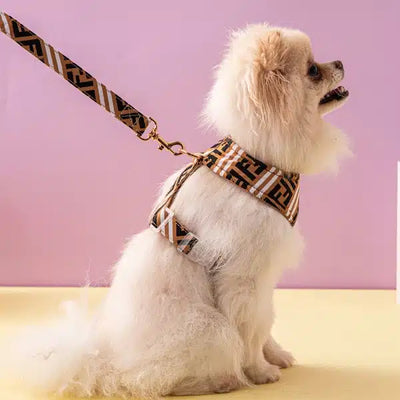 FF Monogram Harness & Leash Wavy Set