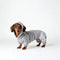 PAWSMOMENT Fleece Sweatsuit