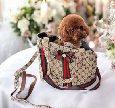 GG Carrier Unseen Bag