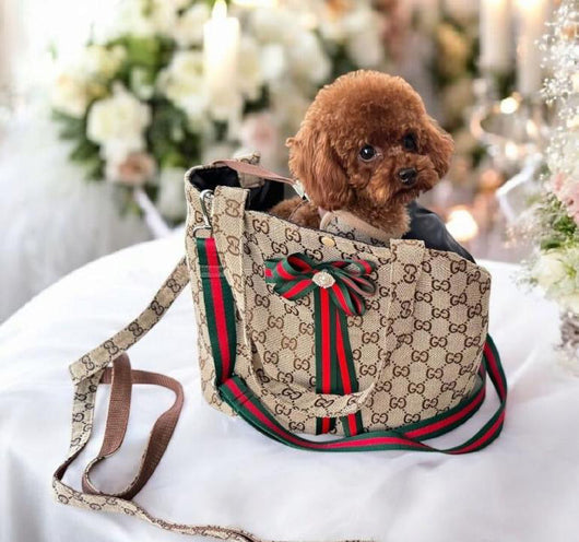 GG Carrier Unseen Bag