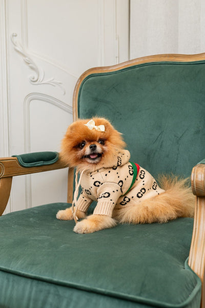 Gemina Luxury Raw Hoodie