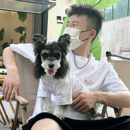 Pet Dog Clean Clothes