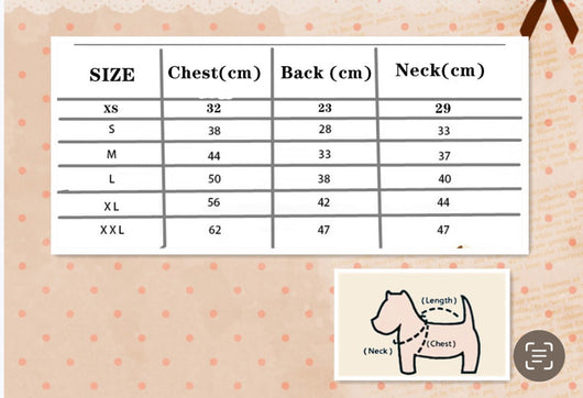 Cuty Reindeer Amped Sweater