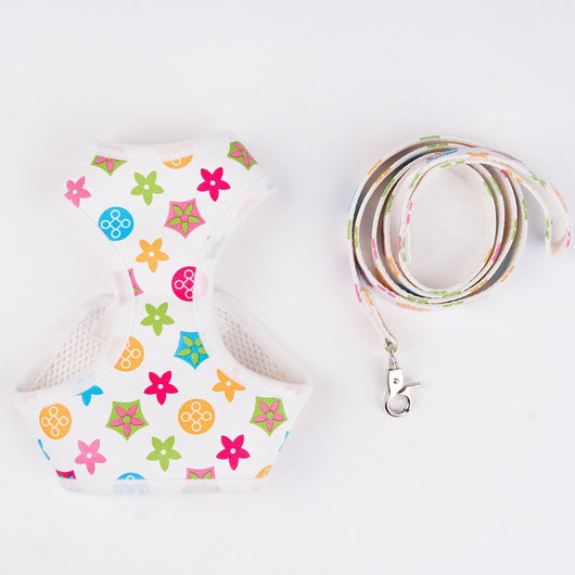 Amarillis Harness And Throwie Leash