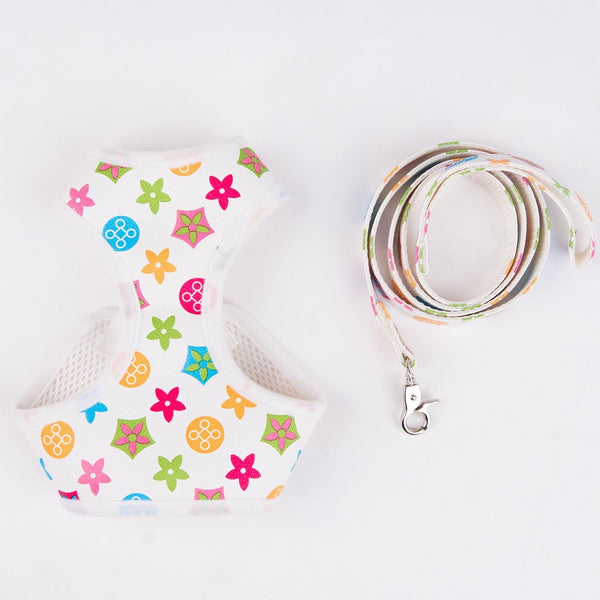 Amarillis Harness And Lo-fi Leash