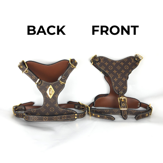 LV Hero Harness & Leash Edgy Set