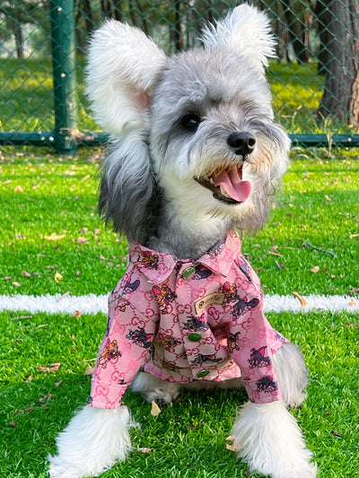 Big Dog GG Breezy Summer Shirt