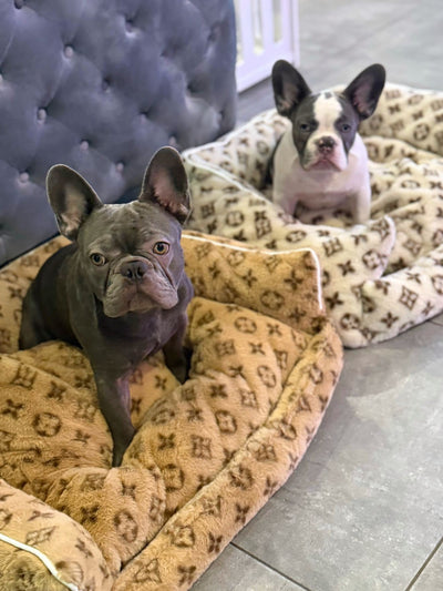 LV Soft Dog Adorable Bed