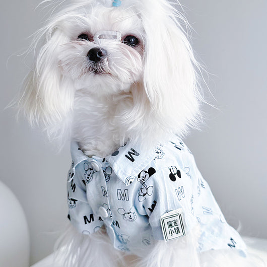 Big Dog Happy Summer Breeze Shirt