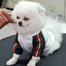 🧥 Dear Doggo Jacket - Premium Quality Dog Accessories