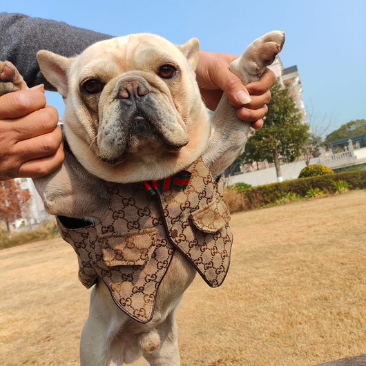 GG Pup Summer Vibrant Vest