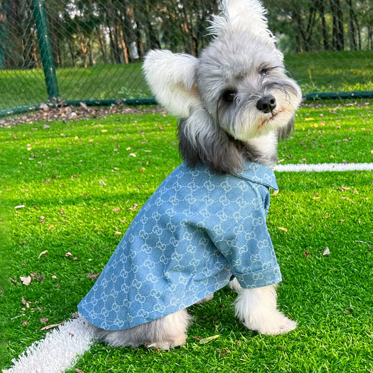 Big Dog GG Cool Summer Vibes Shirt