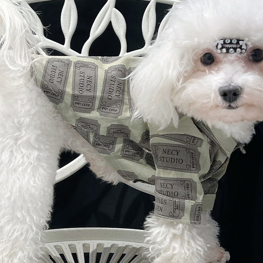 Big Dog Summer Vibes Shirt