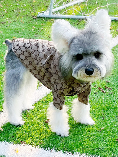 Pet Dog Prime Clothes