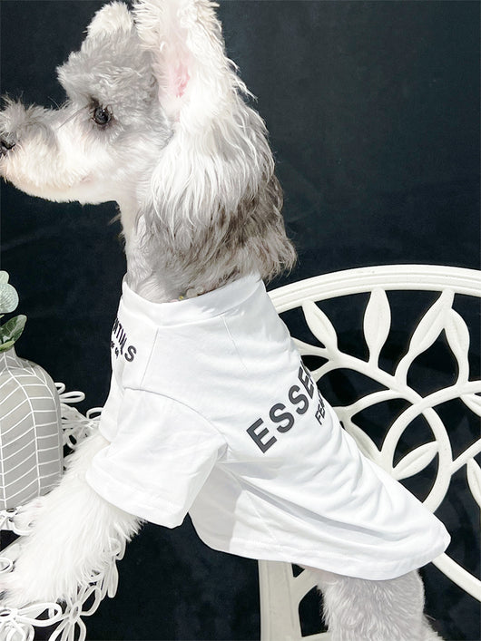 Pet Dog Lo-fi Clothes