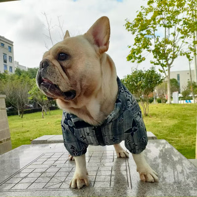 LV Designer Winter Zipper  Jacket