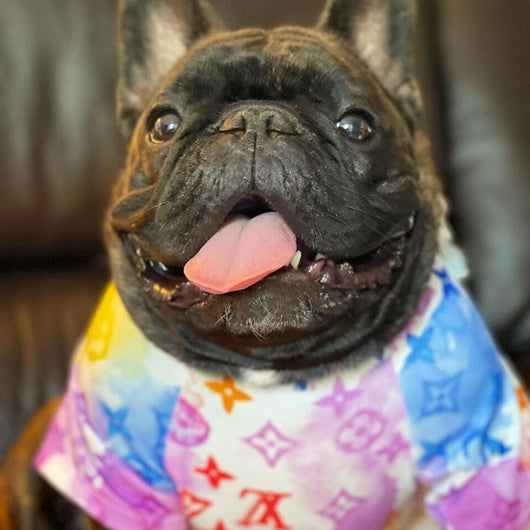 Summer Water Color DD Tshirt