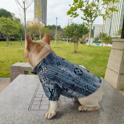 LV Designer Winter Zipper  Jacket