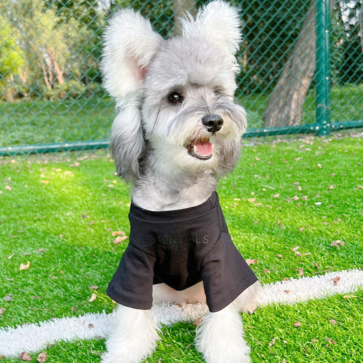 Everyday Cool Matching Clothes