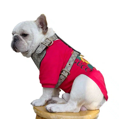 GG Hero Classic Harness& Leash Layered Set