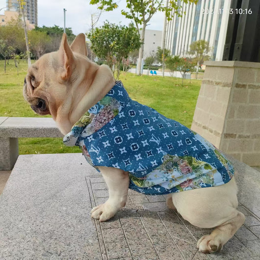 LV Denim Winter Timeless Jacket