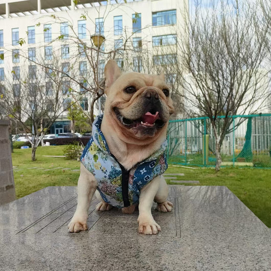 LV Denim Winter Timeless Jacket