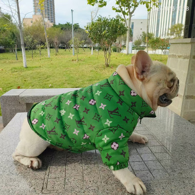 LV Luxury Zipper Lit Jacket